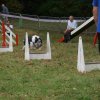 foire-haricots 2011-09-17et18
